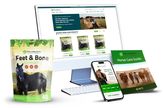 Win New Customers & Revenue with HubSpot
